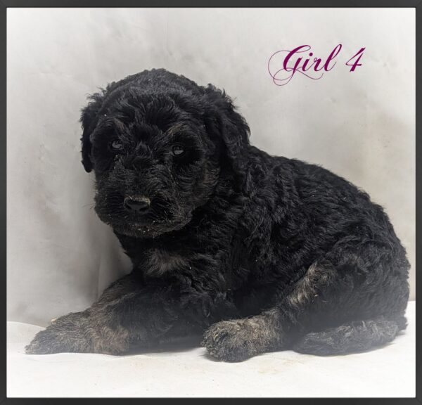Girl 4