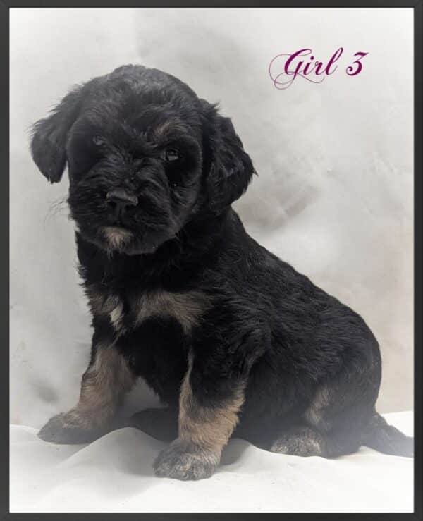 Girl 3