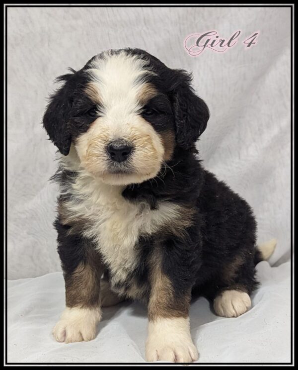 Girl 4