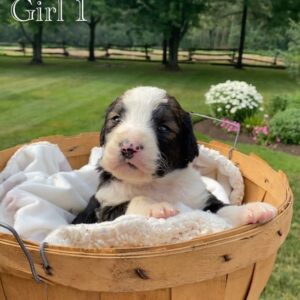 Girl 1