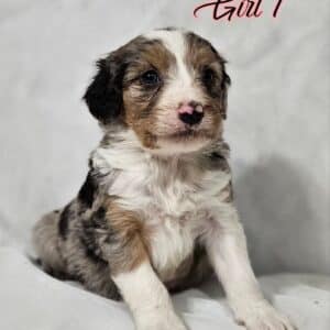 Girl 1